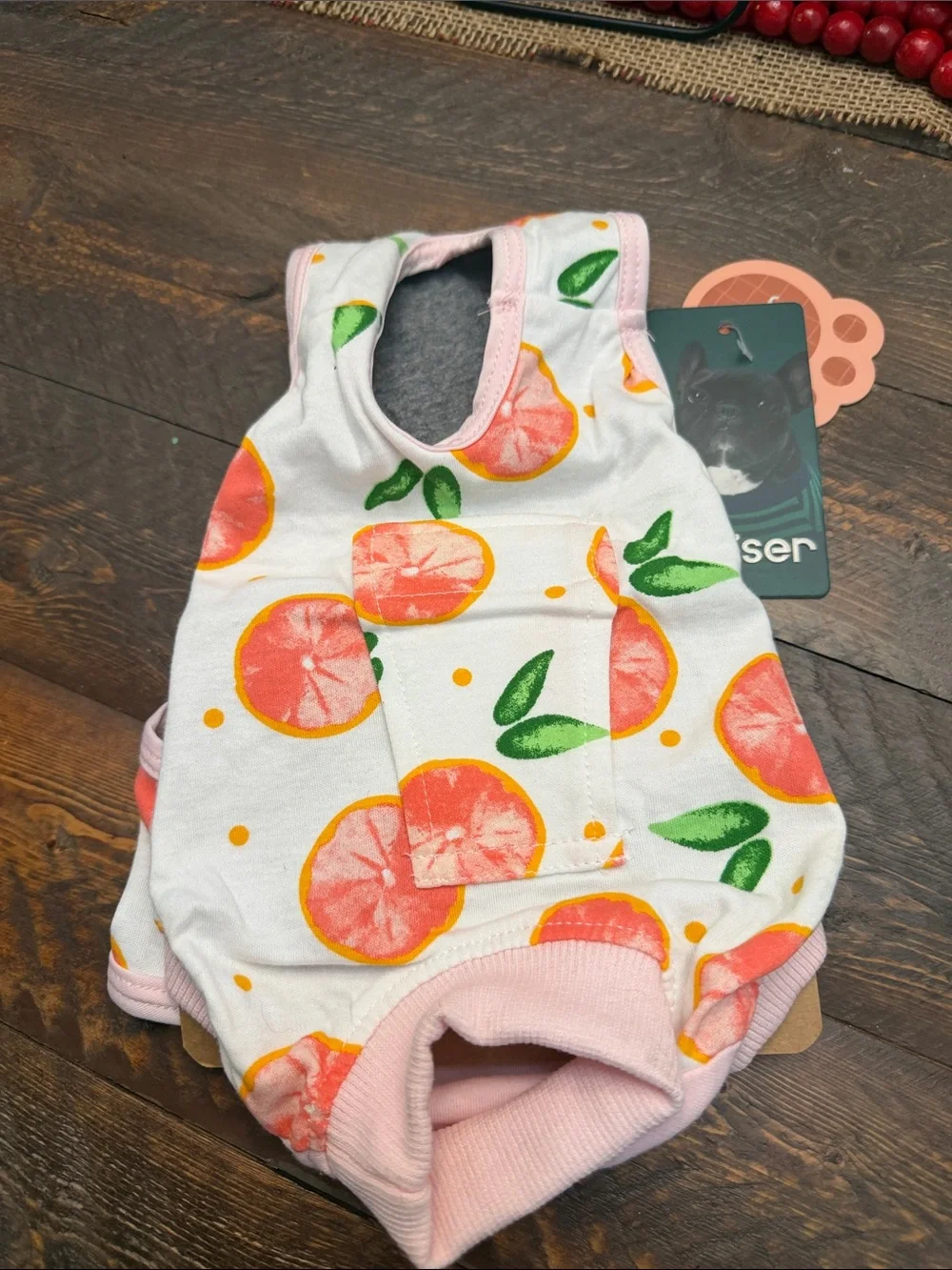 Kuoser Citrus Grapefruit Print Dog Cat Surgical Recovery Suit Onesie NWT XS 🐕 🐈